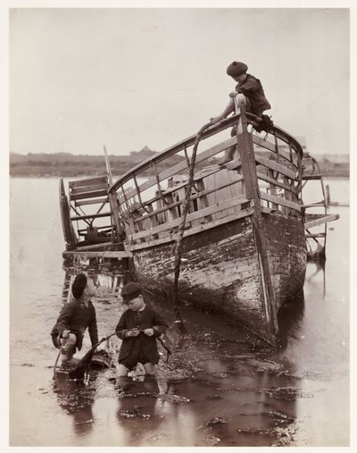 Ricci di mare da Unbekannt