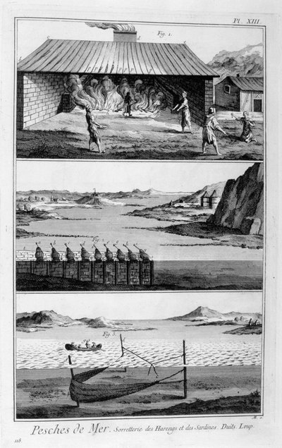 Pesca in mare, aringhe e sardine, 1751-1777 da Unbekannt