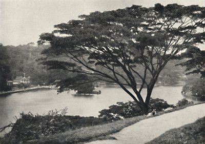 Tempio del Sacro Dente e Biblioteca a Kandy, visto dal Victoria Drive da Unbekannt
