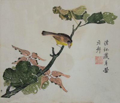 Semi e Aleurites Cordata: Pagina dal Manuale del Giardino del Seme di Senape, 1782, 2a edizione da Unbekannt