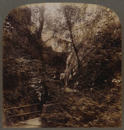 Shanklin Chine di fama mondiale, Isola di Wight, Inghilterra da Unbekannt