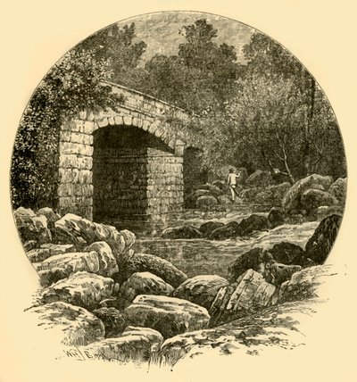 Ponte di Shaugh da Unbekannt