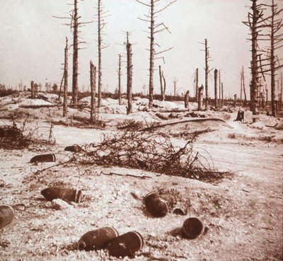 Proiettili, Verdun, nord della Francia, c1914-c1918 da Unbekannt