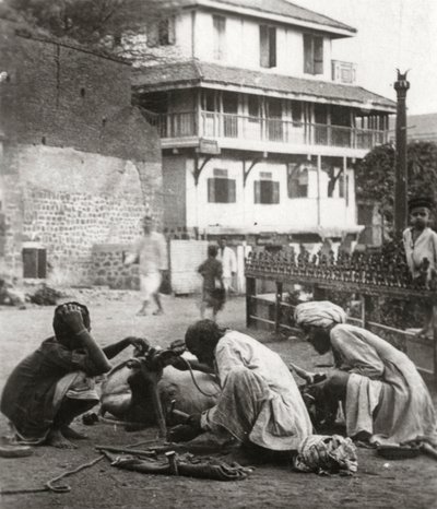 Ferriatura di un bue, India da Unbekannt