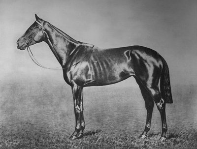 Signorinetta, 1905-1928, 1911 da Unbekannt