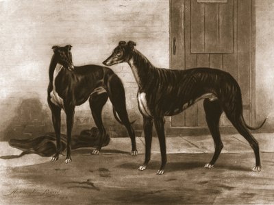 Simonian e Fullerton, c. 1891, 1911 da Unbekannt