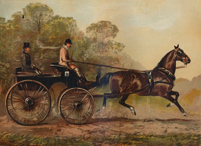 Cavallo Phaeton a singolo tiro Columbine. Proprietà di Charles Baynes Esq. da Unbekannt