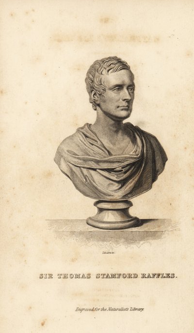 Sir Thomas Stanford Raffles, statista britannico, scrittore e naturalista da Unbekannt