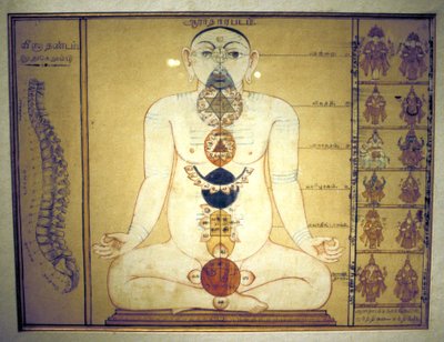 Sei chakra che rappresentano i plessi del corpo umano, Tanjore, Tamil Nadu, c1850 da Unbekannt