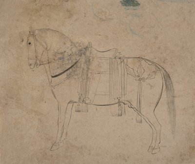 Schizzo di un Cavallo, fine XVIII secolo da Unbekannt