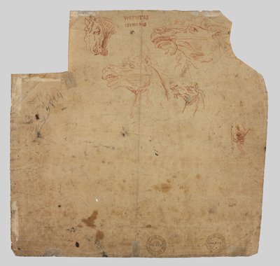 Schizzi di cavalli verso, XVII secolo da Unbekannt