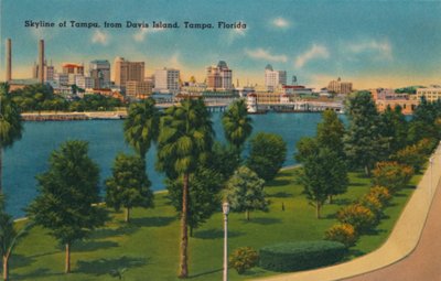 Skyline di Tampa, dall