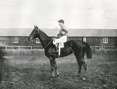 Grattacielo, 1911 da Unbekannt