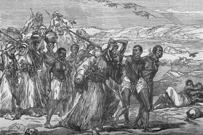 Carovana di Schiavi che Attraversa il Deserto Africano, c1881-85 da Unbekannt
