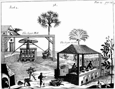 Lavoro degli schiavi in una piantagione di zucchero nelle Indie Occidentali, 1725 da Unbekannt