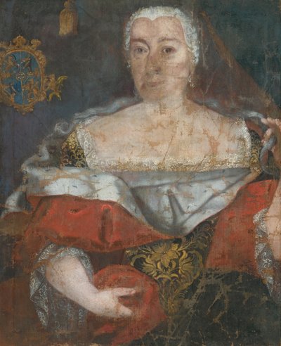 Pittore slovacco della metà del XVIII secolo - Ritratto di una zemianka con mantello broccato da Unbekannt