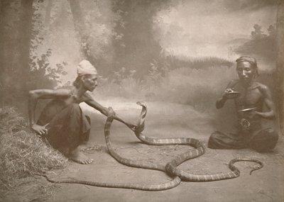 Incantatori di serpenti con cobra Hamadryads, 1900 da Unbekannt
