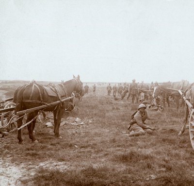 Soldati e artiglieria trainata da cavalli, c1914-c1918 da Unbekannt