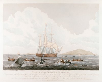 Pesca alla balena nel Mar del Sud, 1825 da Unbekannt