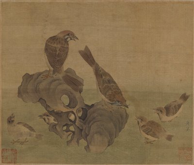 Passeri che nutrono i loro piccoli, dinastia Ming o Qing, XVII secolo da Unbekannt