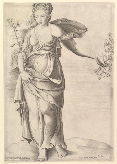 Speculum Romanae Magnificentiae: Flora da Unbekannt