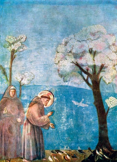 San Francesco che predica agli uccelli, 1297-1299, c1900-1920 da Unbekannt