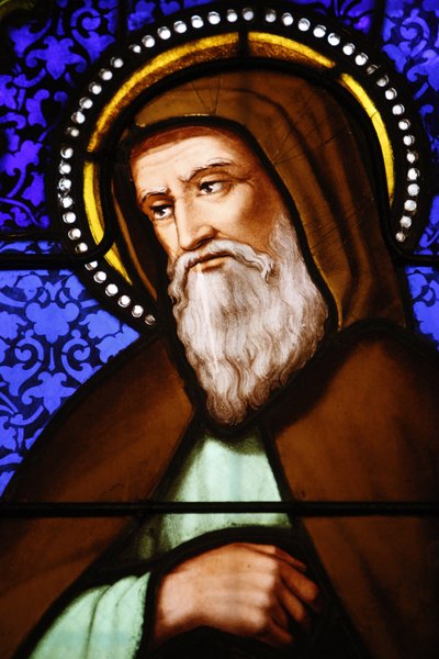 Vetrata nella chiesa di San Paolo, Lione: San Bonaventura, Lione, Francia da Unbekannt