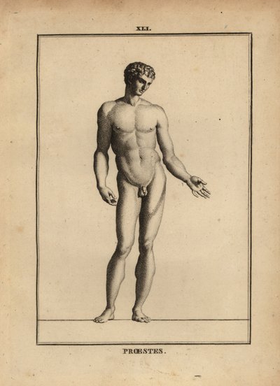 Statua di Oreste, nudo, figlio di Agamennone nella mitologia greca da Unbekannt