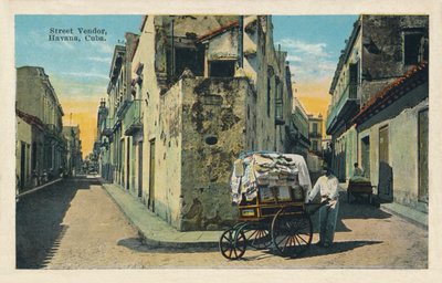 Venditore ambulante, L