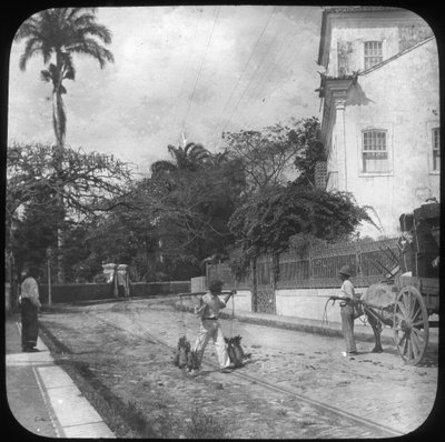 Scena di strada, Pernambuco, Brasile, fine XIX o inizio XX secolo da Unbekannt