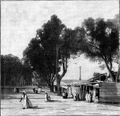 Scena di strada con la Colonna di Pompeo in lontananza, Alessandria, Egitto, 1900 da Unbekannt