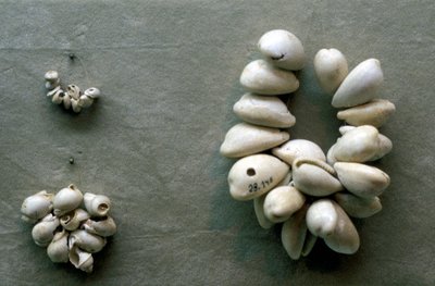 Fili di conchiglie di cauri da Unbekannt