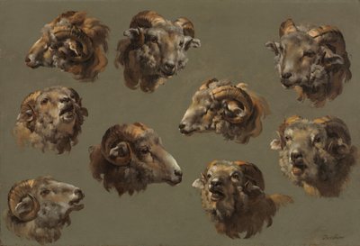 Studi di teste di ariete, 1700s da Unbekannt