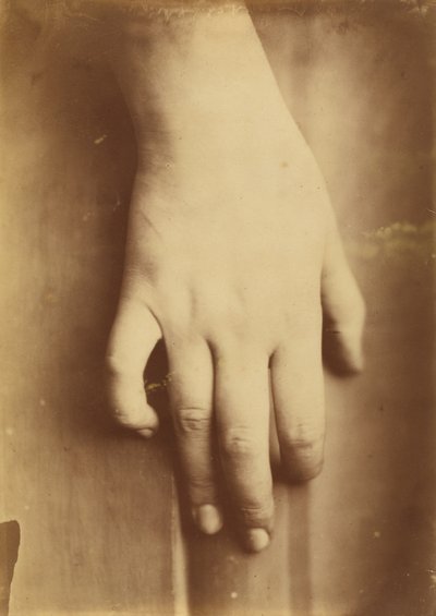Studio di una Mano da Unbekannt