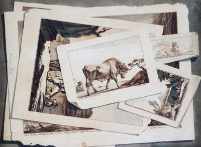 Studio di disegni e stampe da Unbekannt