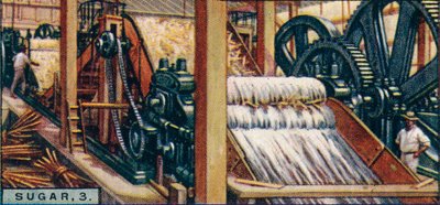 Zucchero, 3. Schiacciamento delle canne, Giava, 1928 da Unbekannt