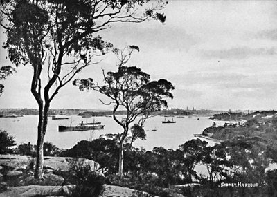 Porto di Sydney, da Cremorne Point, c1900 da Unbekannt