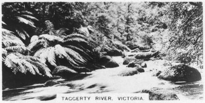 Fiume Taggerty, Victoria, Australia, 1928 da Unbekannt
