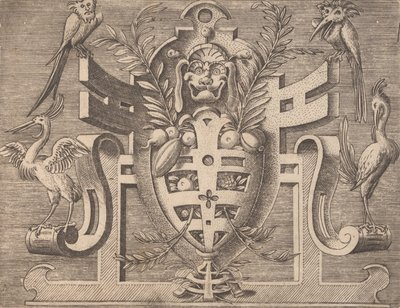 Targhe ed altri ornati di varie e capricciose invenzioni, 1773 da Unbekannt