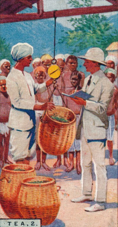 Tè, 2. - Pesatura del raccolto, Ceylon da Unbekannt