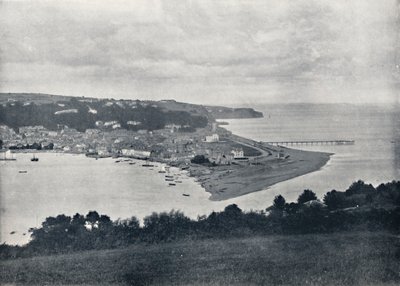 Teignmouth - Vista generale del Dene, 1895 da Unbekannt