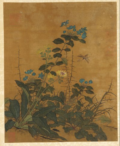 Dieci immagini di fiori, frutti e uccelli da Unbekannt