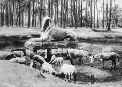 La Sfinge di Alabastro, Il Cairo, Egitto, c1920s da Unbekannt