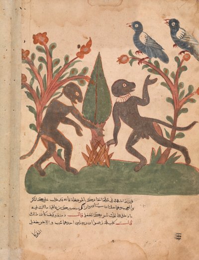 Gli uccelli e le scimmie con la lucciola, foglio da un Kalila wa Dimna, XVIII secolo da Unbekannt