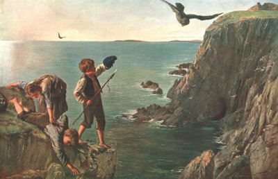 Il Bonxie, Shetland da Unbekannt