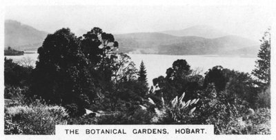 I Giardini Botanici, Hobart, Tasmania, 1928 da Unbekannt