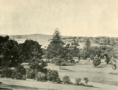 I Giardini Botanici di Sydney da Unbekannt
