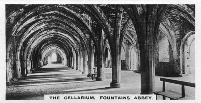 Il Cellarium, Abbazia di Fountains, Yorkshire, c. 1920s da Unbekannt