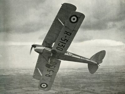 Il De Havilland Tiger Moth, 1941 da Unbekannt