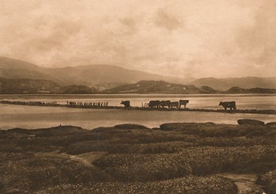 Il Dovey a Ynyslas, 1902 da Unbekannt